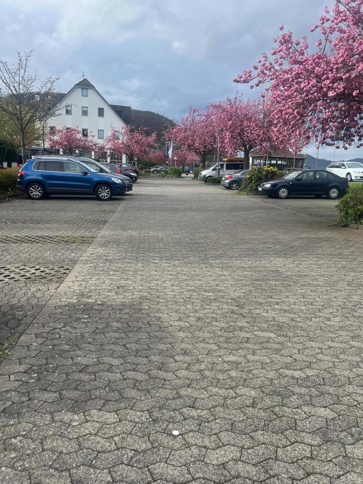 Apartment In Oberwinter *